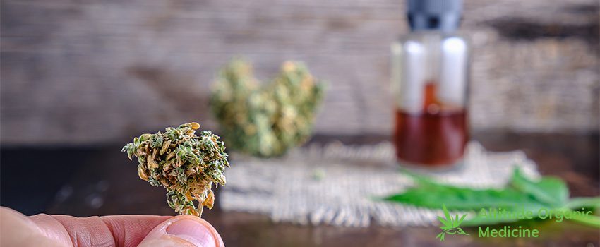 AOC 10 Medical Marijuana Strains to Manage Your Pain