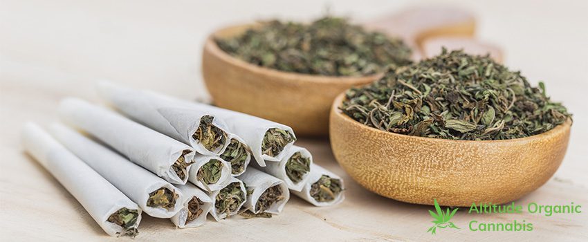 AOC 7 Best Ways to Smoke Cannabis Flower
