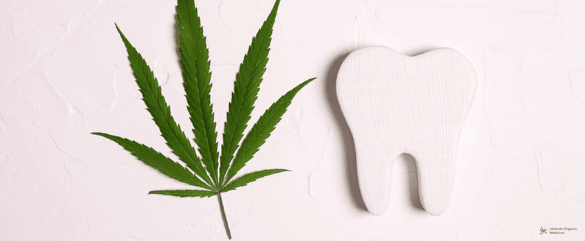 AOC-White tooth with a marijuana leaf